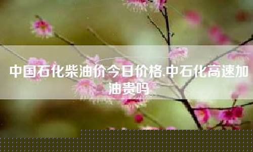 北京中石化柴油价格查询-北京中石化柴油价今日价格表
