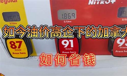 加拿大油价-加拿大油价多少钱一升