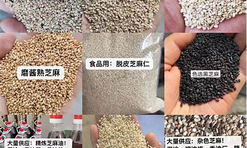 芝麻油价格是多少钱一斤-芝麻油价格最新行情