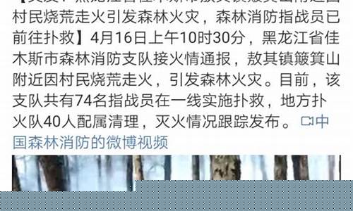 佳木斯市今日油价92汽油价格-佳木斯市今日油价92汽油价格是